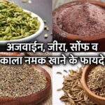 अजवाईन, जीरा, सोंफ व काला नमक खाने के फायदे
